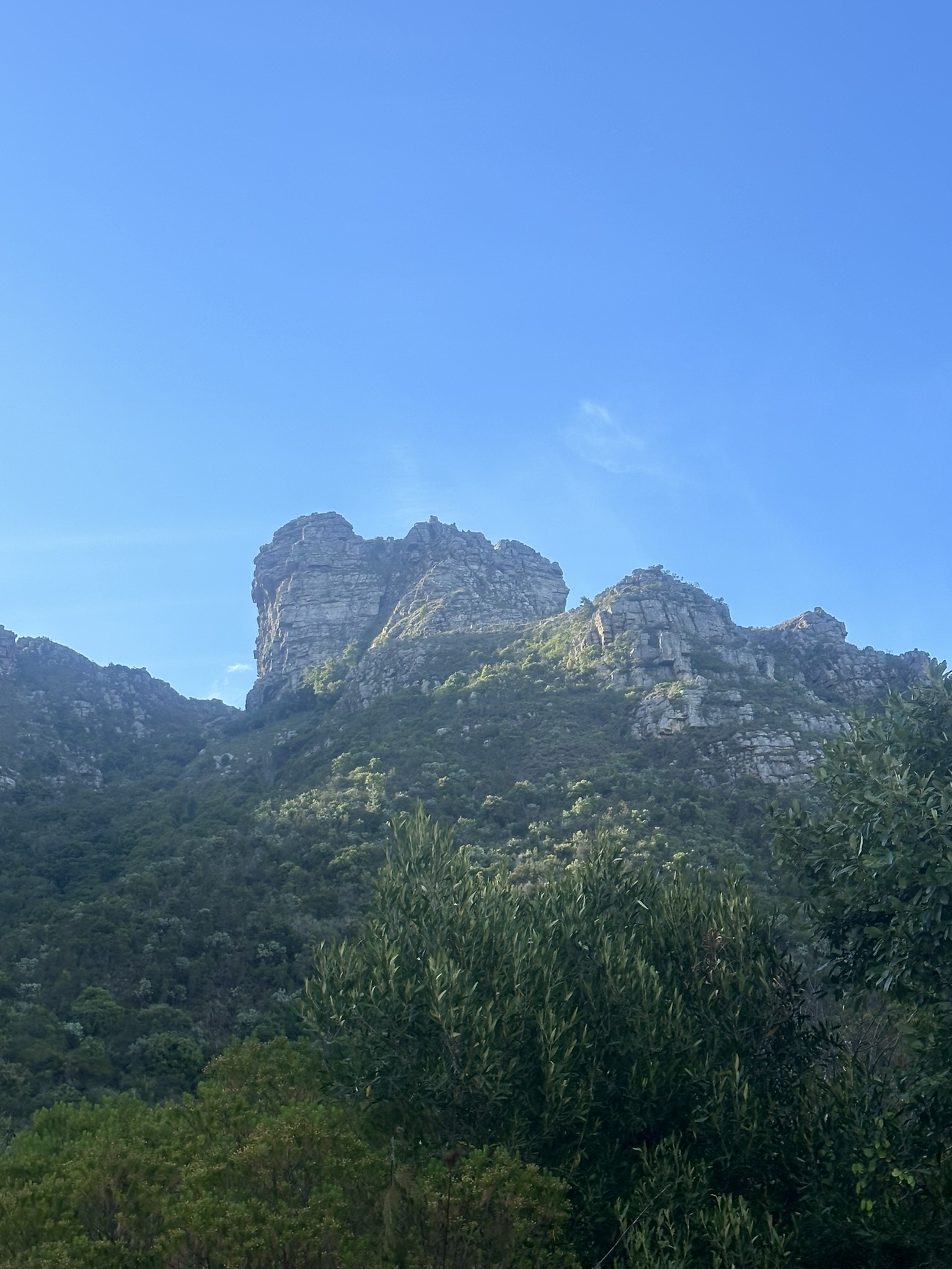 South Africa - Image 721